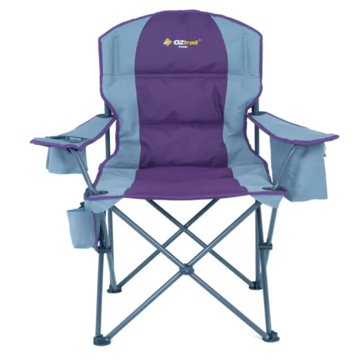 Cooler Arm Chair - Purple