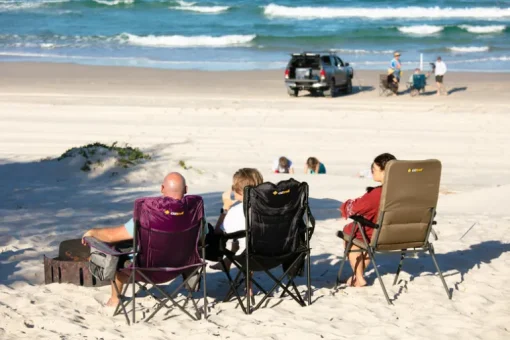 Cooler Arm Chair - Purple